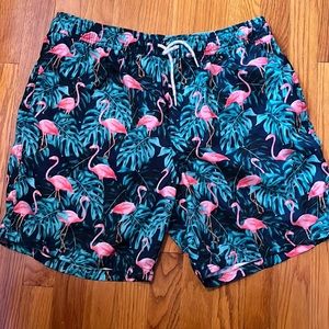 NWOT Flamingo Swim Trunks